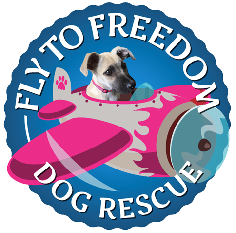 Fly To freedom Dog rescue